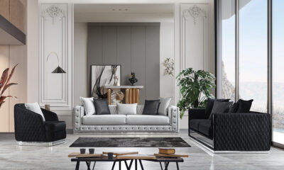 Aardvark modern sofa set