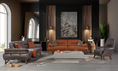 Albany Modern Sofa Set