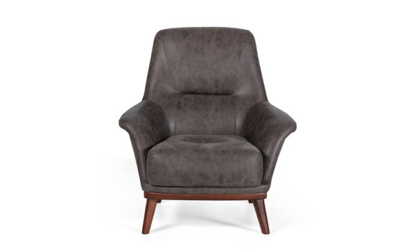 Albany Modern Sofa Set - Image 6
