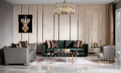 Asiatic modern sofa set
