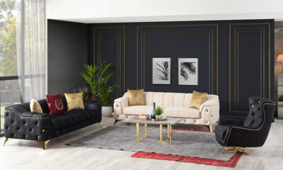 Beaver Modern Sofa Set