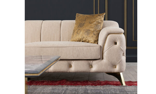 Beaver Modern Sofa Set - Image 4
