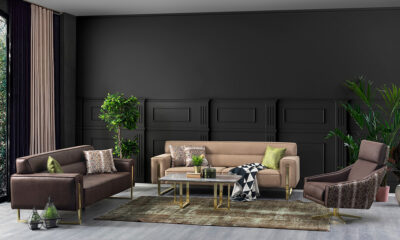 Burlington Modern Sofa Set