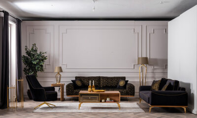 Crane Modern Sofa Set