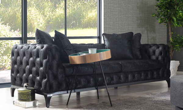 Eels Modern Sofa Set - Image 2