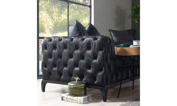 Eels Modern Sofa Set - Image 4