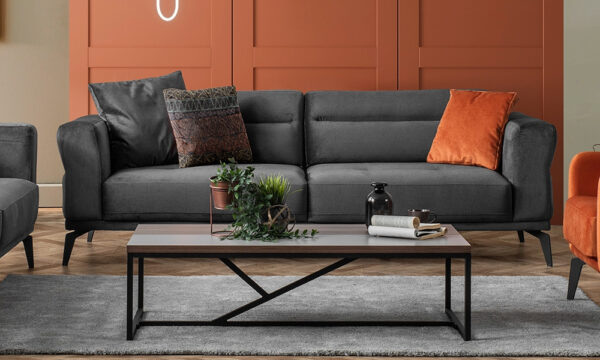Emms Modern Sofa Set - Image 3