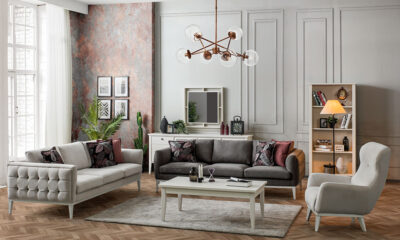 Hamster modern sofa set