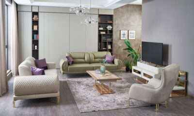 Pangolin modern sofa set