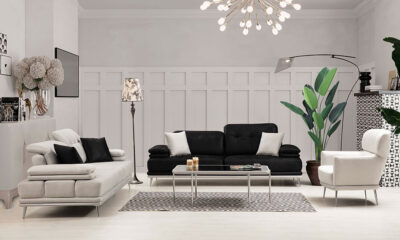 Pelican Modern Sofa Set