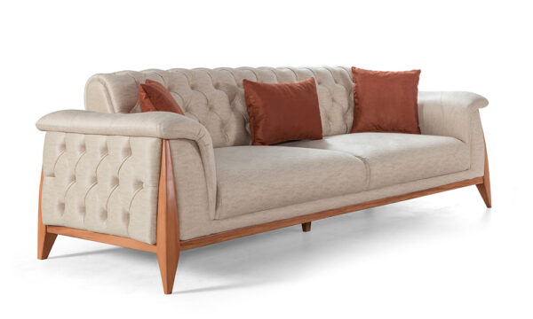 Raglan Modern Sofa Set - Image 3