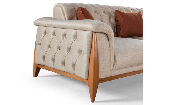Raglan Modern Sofa Set - Image 5