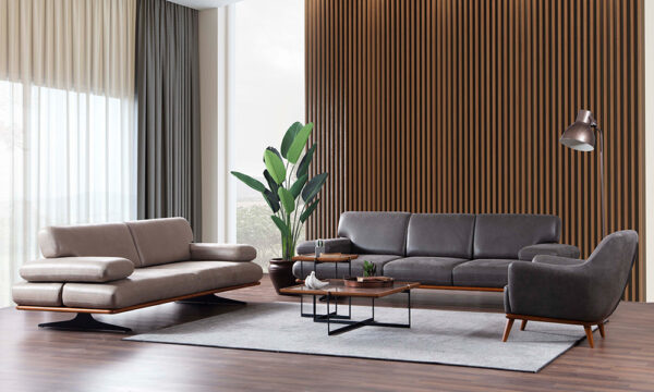 Savannah Modern Sofa Set - Image 2