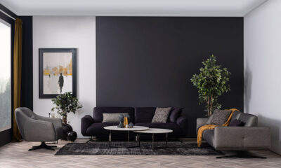 Sophie Modern Sofa Set