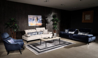 Goose modern sofa set