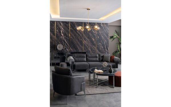 Eaglet Modern Sofa Set - Image 2