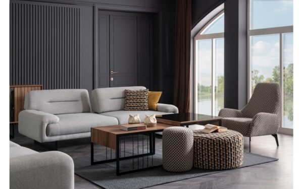 Tadpole Modern Sofa Set - Image 5