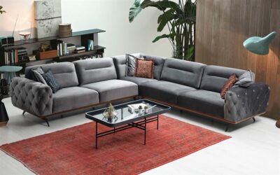 Ashley Modern Sofa Set