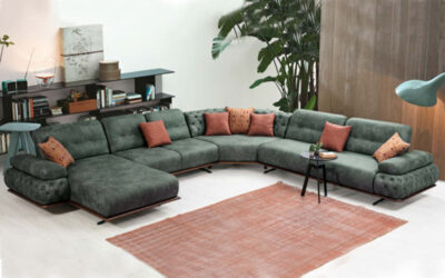 Favorite Modern Sofa Set