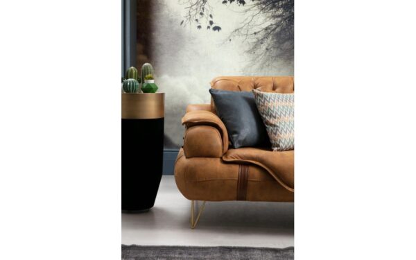 Napolion Modern Sofa Set - Image 4