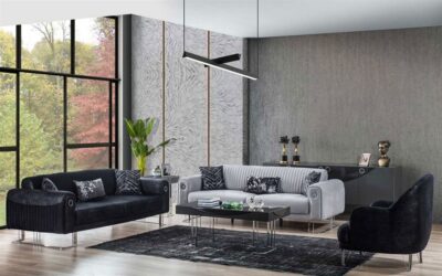 Rubylashy Modern Sofa Set
