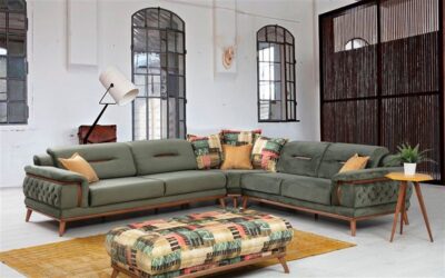 Treeless Modern Sofa Set