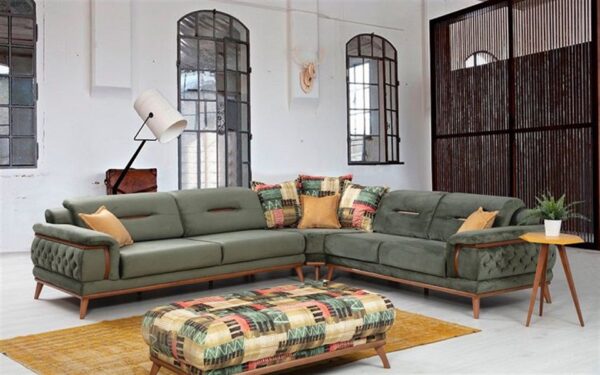 Treeless Modern Sofa Set