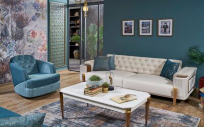 Trinkets Soft Modern Sofa Set