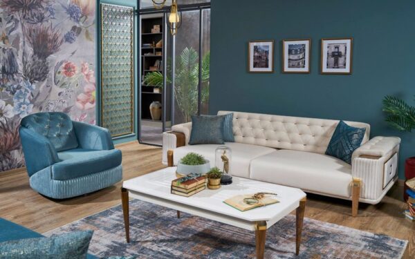 Trinkets Soft Modern Sofa Set
